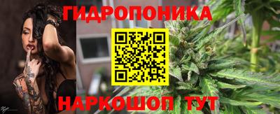 PSILOCYBIN Дубна
