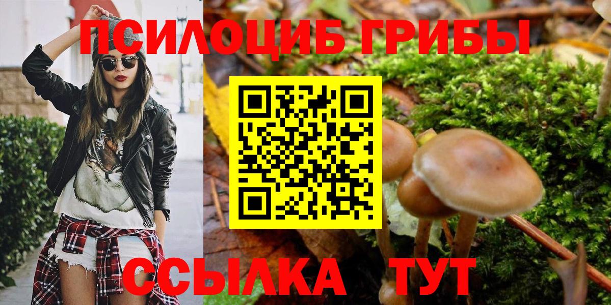 Галлюциногенные грибы Psilocybine cubensis Людиново